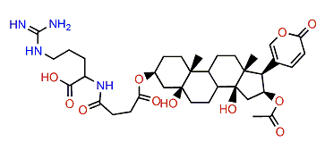 3-(N-Succinoyl argininyl)-bufotalin